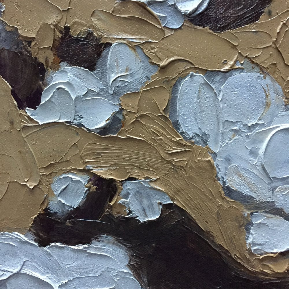 Above The Clouds II (Heartland)