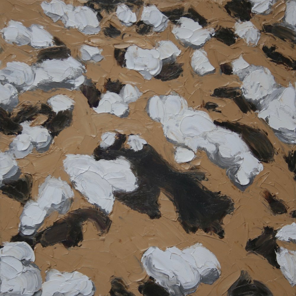 Above The Clouds II (Heartland)