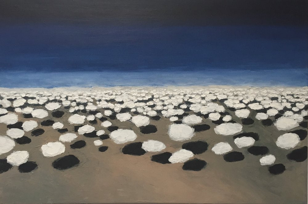 New Mexico Descent No. 4