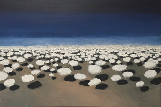 New Mexico Descent No. 4