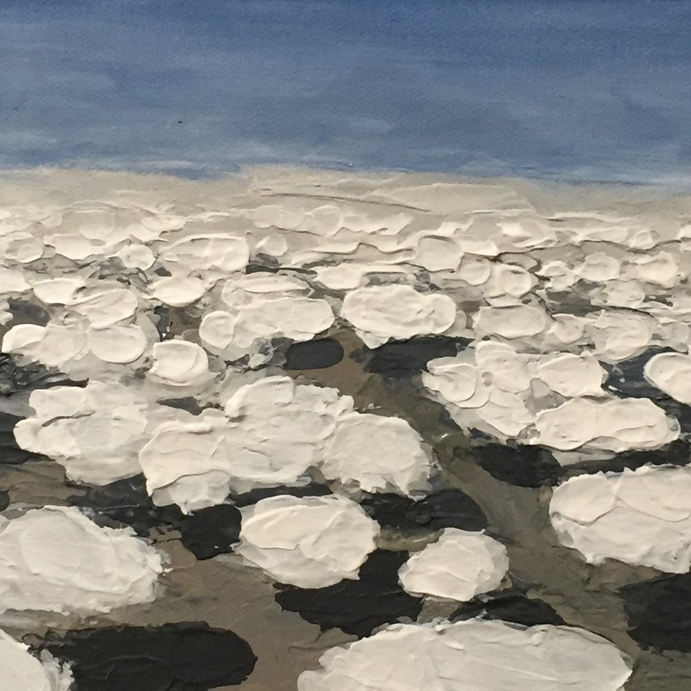 New Mexico Descent No. 4