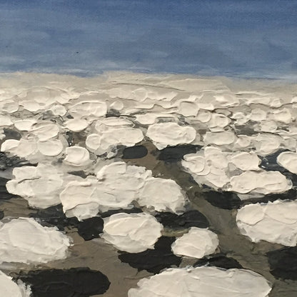 New Mexico Descent No. 4