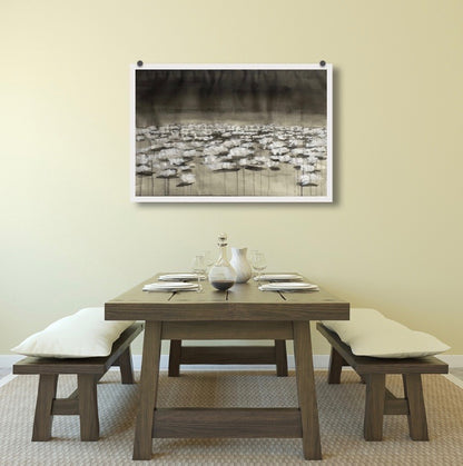 New Mexico Descent No. 4 (Mono)